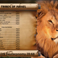 12 Tribes Of Israel Flag