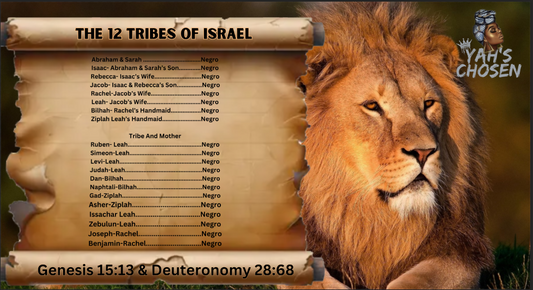 12 Tribes Of Israel Flag