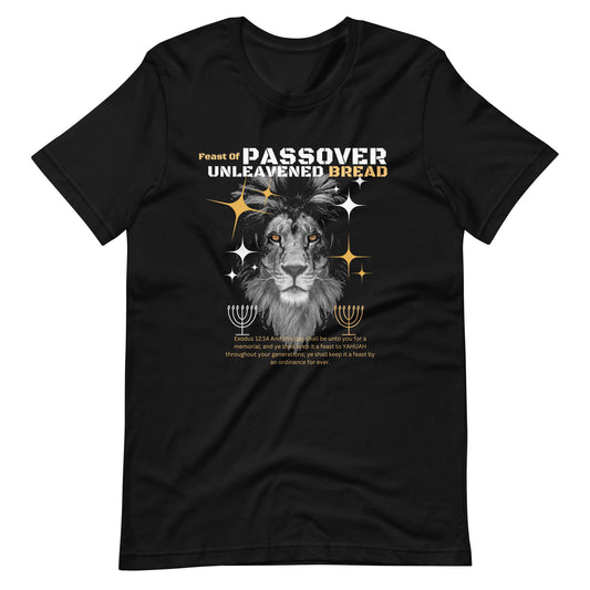 Passover Men's t-shirt