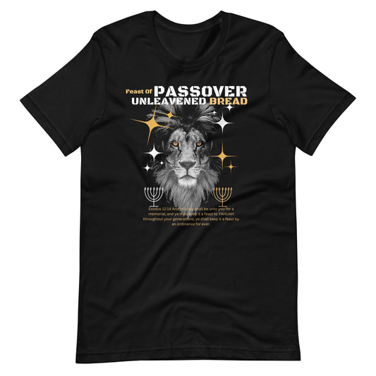 Passover Women's t-shirt